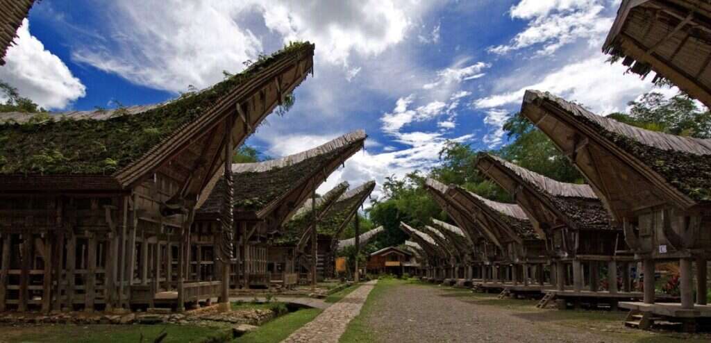 rental mobil toraja